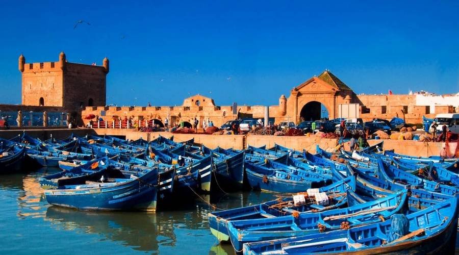 Day 11: Free Day in Essaouira ( Walking Tour )